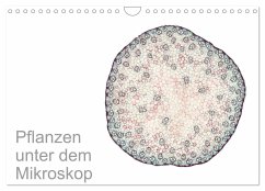 Pflanzen unter dem Mikroskop (Wandkalender 2024 DIN A4 quer), CALVENDO Monatskalender