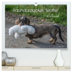 Rauhaardackel Motte & Friends (hochwertiger Premium Wandkalender 2024 DIN A2 quer), Kunstdruck in Hochglanz - Kuhr, Susann