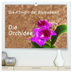 Die Königin der Blumenwelt, die Orchidee (hochwertiger Premium Wandkalender 2024 DIN A2 quer), Kunstdruck in Hochglanz - Rosenthal, Peter