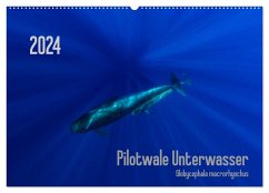 Pilotwale Unterwasser - Globicephala macrorhynchus (Wandkalender 2024 DIN A2 quer), CALVENDO Monatskalender - Weber-Gebert, Claudia
