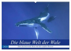 Die blaue Welt der Wale (Wandkalender 2024 DIN A2 quer), CALVENDO Monatskalender
