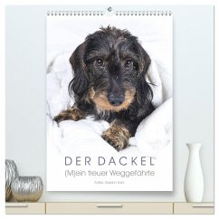 Der Dackel (M)ein treuer Weggefährte (hochwertiger Premium Wandkalender 2024 DIN A2 hoch), Kunstdruck in Hochglanz - Kuhr, Susann