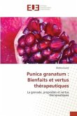 Punica granatum : Bienfaits et vertus thérapeutiques