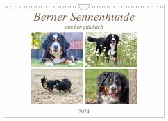 Berner Sennenhunde machen glücklich (Wandkalender 2024 DIN A4 quer), CALVENDO Monatskalender - Schnellewelten