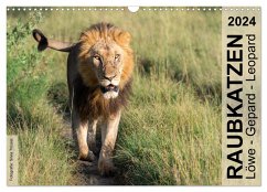 Raubkatzen - Löwe, Gepard, Leopard (Wandkalender 2024 DIN A3 quer), CALVENDO Monatskalender