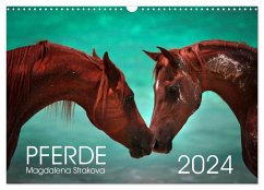 Pferde - Magdalena Strakova (Wandkalender 2024 DIN A3 quer), CALVENDO Monatskalender