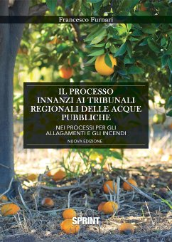 Il processo innanzi ai tribunali regionali delle acque pubbliche nei processi per gli allagamenti e gli incendi (nuova edizione) (eBook, ePUB) - Furnari, Francesco