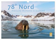 78° Nord - Arktische Momente in Svalbard (Wandkalender 2024 DIN A3 quer), CALVENDO Monatskalender
