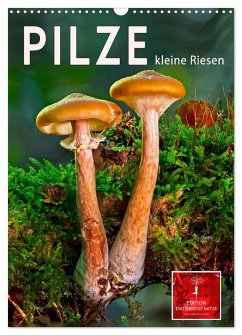 Pilze - kleine Riesen (Wandkalender 2024 DIN A3 hoch), CALVENDO Monatskalender