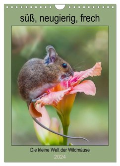 Die kleine Welt der Wildmäuse (Wandkalender 2024 DIN A4 hoch), CALVENDO Monatskalender