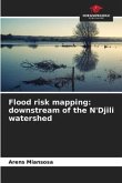 Flood risk mapping: downstream of the N'Djili watershed