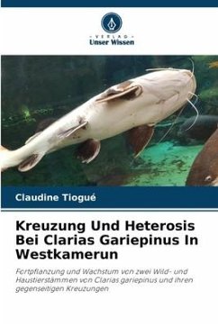 Kreuzung Und Heterosis Bei Clarias Gariepinus In Westkamerun - Tiogué, Claudine