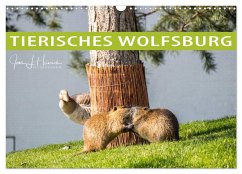 Tierisches Wolfsburg (Wandkalender 2024 DIN A3 quer), CALVENDO Monatskalender