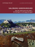 Archäologie aktuell Band 5 (eBook, PDF)