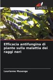 Efficacia antifungina di piante sulla malattia dei raggi neri