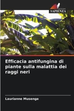 Efficacia antifungina di piante sulla malattia dei raggi neri - Musenge, Laurianne