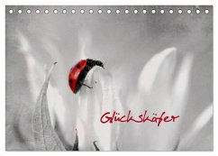 Glückskäfer (Tischkalender 2024 DIN A5 quer), CALVENDO Monatskalender