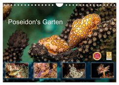 Poseidon's Garten (Wandkalender 2024 DIN A4 quer), CALVENDO Monatskalender