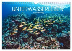 Unterwasserleben (Wandkalender 2024 DIN A4 quer), CALVENDO Monatskalender - Riewe, Sven
