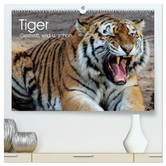 Tiger. Gestreift, wild u. schön (hochwertiger Premium Wandkalender 2024 DIN A2 quer), Kunstdruck in Hochglanz - Stanzer, Elisabeth