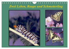 Zwei Leben, Raupe und Schmetterling (Wandkalender 2024 DIN A4 quer), CALVENDO Monatskalender