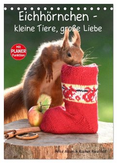 Eichhörnchen - kleine Tiere, große Liebe (Tischkalender 2024 DIN A5 hoch), CALVENDO Monatskalender - Adam, Heike