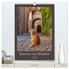 Katzen von Rhodos (hochwertiger Premium Wandkalender 2024 DIN A2 hoch), Kunstdruck in Hochglanz