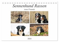 Sennenhund Rassen (Tischkalender 2024 DIN A5 quer), CALVENDO Monatskalender