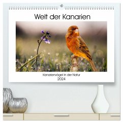 Welt der Kanarien (hochwertiger Premium Wandkalender 2024 DIN A2 quer), Kunstdruck in Hochglanz