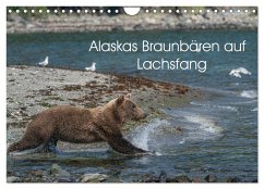 Grizzlybären im Katmai Nationalpark Alaska (Wandkalender 2024 DIN A4 quer), CALVENDO Monatskalender