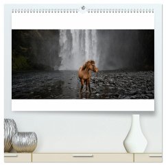 Islandpferde Kalender - Pferde von der Insel aus Feuer und Eis (hochwertiger Premium Wandkalender 2024 DIN A2 quer), Kunstdruck in Hochglanz