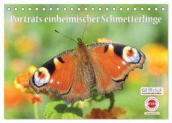 GEOclick Lernkalender: Porträts einheimischer Schmetterlinge (Tischkalender 2024 DIN A5 quer), CALVENDO Monatskalender