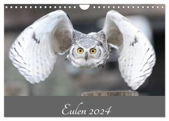Eulen 2024 (Wandkalender 2024 DIN A4 quer), CALVENDO Monatskalender