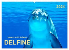 Delfine - elegant und intelligent (Wandkalender 2024 DIN A2 quer), CALVENDO Monatskalender