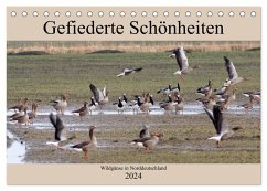 Gefiederte Schönheiten - Wildgänse in Norddeutschland (Tischkalender 2024 DIN A5 quer), CALVENDO Monatskalender