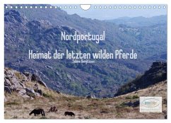 Nordportugal - Heimat der letzten wilden Pferde (Wandkalender 2024 DIN A4 quer), CALVENDO Monatskalender