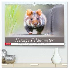 Herzige Feldhamster - farbenfrohe Nagetiere im städtischen Lebensraum (hochwertiger Premium Wandkalender 2024 DIN A2 quer), Kunstdruck in Hochglanz