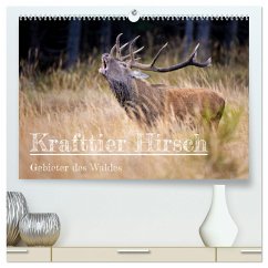 Krafttier Hirsch (hochwertiger Premium Wandkalender 2024 DIN A2 quer), Kunstdruck in Hochglanz - Johann, Schörkhuber