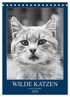 Wilde Katzen - Korsikas Samtpfoten (Tischkalender 2024 DIN A5 hoch), CALVENDO Monatskalender - Schimmack, Claudia