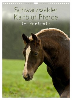 Schwarzwälder Kaltblut Pferde im Portrait (Wandkalender 2024 DIN A3 hoch), CALVENDO Monatskalender