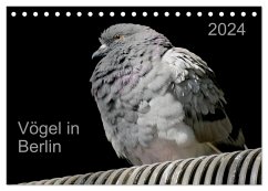 Vögel in Berlin (Tischkalender 2024 DIN A5 quer), CALVENDO Monatskalender - Mahrhofer, Verena