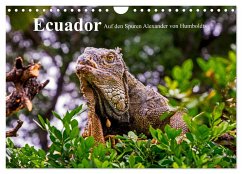 Ecuador - Auf den Spuren Alexander von Humboldts (Wandkalender 2024 DIN A4 quer), CALVENDO Monatskalender