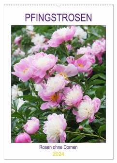 Pfingstrosen Rosen ohne Dornen (Wandkalender 2024 DIN A2 hoch), CALVENDO Monatskalender