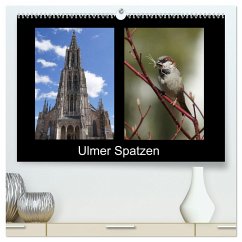 Ulmer Spatzen (hochwertiger Premium Wandkalender 2024 DIN A2 quer), Kunstdruck in Hochglanz