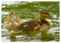Die Kinderstube der Wasservögel (Wandkalender 2024 DIN A3 quer), CALVENDO Monatskalender
