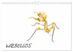 WIRBELLOS (Wandkalender 2024 DIN A4 quer), CALVENDO Monatskalender