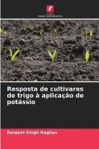Resposta de cultivares de trigo à aplicação de potássio