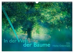 In der Welt der Bäume (Wandkalender 2024 DIN A3 quer), CALVENDO Monatskalender