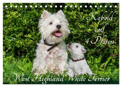 Kobold auf 4 Pfoten - West Highland White Terrier (Tischkalender 2024 DIN A5 quer), CALVENDO Monatskalender
