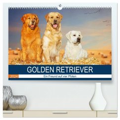 Golden Retriever - Ein Freund auf vier Pfoten (hochwertiger Premium Wandkalender 2024 DIN A2 quer), Kunstdruck in Hochglanz